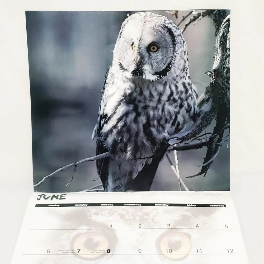 Owls Birds Calendar 1999 Halfmoon Press The Time Factory 16 Months